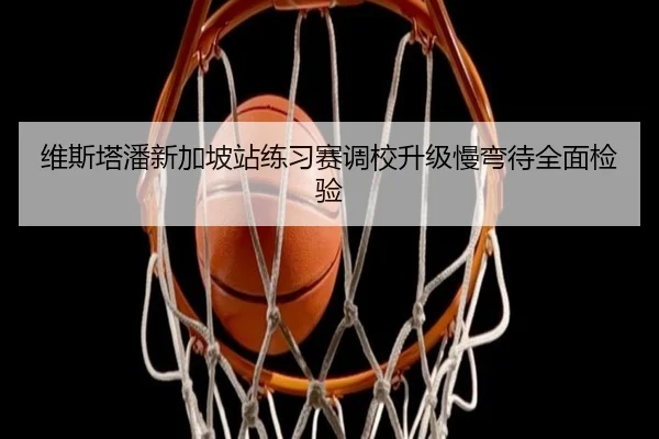 维斯塔潘新加坡站练习赛调校升级慢弯待全面检验